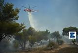 Πυροσβεστική, ΒΑ Αττική, Κασσελάκη -,pyrosvestiki, va attiki, kasselaki -