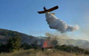 Φωτιά, Πήλιο, Πλατανιάς, fotia, pilio, platanias