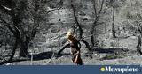 Αττικής,attikis