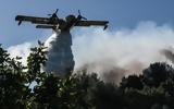 Χαλκιδική, Πορτοκαλί, - Απαγόρευση,chalkidiki, portokali, - apagorefsi