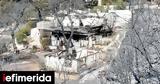 Inspection Teams Assess Fire Damage,Attica