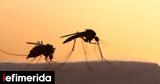 West Nile Virus Reaches Attica Death Toll Climbs,Ten
