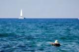 Δεκαπενταύγουστος, Κελσίου,dekapentavgoustos, kelsiou