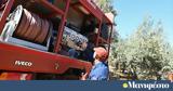 Φωτιά, Ακτίου, Βόνιτσας - Σηκώθηκαν,fotia, aktiou, vonitsas - sikothikan