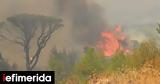 Δύσκολη, Παρασκευή -Εκρηκτικό, 40αρια, [χάρτης],dyskoli, paraskevi -ekriktiko, 40aria, [chartis]