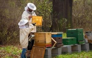 Εθνικό Ηλεκτρονικό Μελισσοκομικό Μητρώο - 2η, ethniko ilektroniko melissokomiko mitroo - 2i