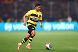 AEK, Nέο, Πινέδα,AEK, Neo, pineda