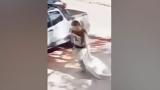 Βραζιλία, Παιδεραστής, 12χρονη, – Βίντεο,vrazilia, paiderastis, 12chroni, – vinteo