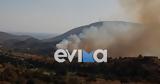 Φωτιά, Εύβοια –,fotia, evvoia –