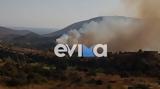 Εύβοια, Φωτιά, – Συναγερμός, Πυροσβεστική Video,evvoia, fotia, – synagermos, pyrosvestiki Video