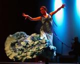 Θέατρο Παπάγου, Flamenco,theatro papagou, Flamenco