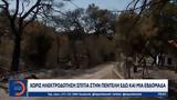 Αστυνομικοί, ΟΠΚΕ, Αττική,astynomikoi, opke, attiki