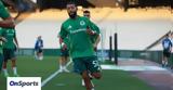 Παναθηναϊκός, Μένει Αθήνα, Βιλένα –, Λανς,panathinaikos, menei athina, vilena –, lans