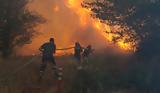 Φωτιά, Σίβηρη Κασσάνδρας Χαλκιδικής,fotia, siviri kassandras chalkidikis