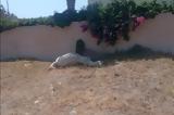 Αφησαν, Σαντορίνη,afisan, santorini
