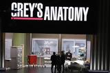 14+1,Grey’s Anatomy