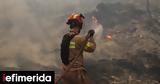 Φωτιά, Όλυμπο, Λιτόχωρου,fotia, olybo, litochorou