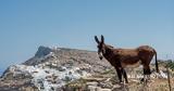 Σίκινος, Κυκλάδων,sikinos, kykladon