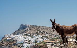 Σίκινος, Κυκλάδων, sikinos, kykladon