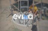 Νεκρός 45χρονος, Εύβοια,nekros 45chronos, evvoia