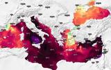 Λεοντόψαρα, Ερυθρά Θάλασσα, Μεσόγειο – Όλο,leontopsara, erythra thalassa, mesogeio – olo