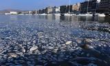 Βόλος, Εισαγγελική, Παγασητικό,volos, eisangeliki, pagasitiko