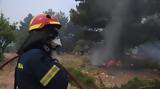 Φωτιά, Τρίκορφο Ναυπακτίας,fotia, trikorfo nafpaktias