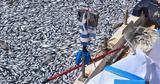 Volos, Blue Flags Withdrawn,6 Beaches Due, Dead Fish