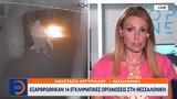 Εξαρθρώθηκαν 14, Θεσσαλονίκη,exarthrothikan 14, thessaloniki