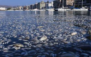 Βόλος, Κατεπείγουσα, Αρείου Πάγου, volos, katepeigousa, areiou pagou