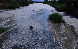 Κατεπείγουσα, Παγασητικό, Εισαγγελέας, Αρείου Πάγου, katepeigousa, pagasitiko, eisangeleas, areiou pagou