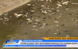 Αποστολή, OPEN, Λίμνη Κάρλα, apostoli, OPEN, limni karla