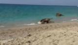 Λευκάδα, Νεκρές,lefkada, nekres