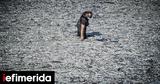 Volos Fish Kill,Watergate Failure Waters Safe Cleanup Continues Amid Political Row