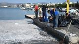 Volos Dead Fish Disaster, Greek Gov Declares State,Emergency Launches Support Measures