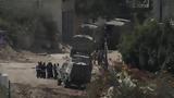 Δυτική Όχθη, IDF, - Είχε,dytiki ochthi, IDF, - eiche