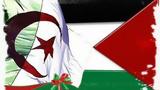 Αλγερία, Εξάρθρωση, Αλγερινών, Μαροκινών,algeria, exarthrosi, algerinon, marokinon