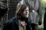 COSMOTE TV, Tulsa King The Walking Dead,Daryl Dixon, From