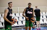 Κώστας Αντετοκούνμπο, Παναθηναϊκού,kostas antetokounbo, panathinaikou