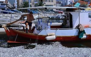 Βόλος, Μήνυση Κουρέτα, Μπέου, volos, minysi koureta, beou