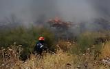 Εμπρησμοί, Μάκρη, Προφυλακίστηκαν,ebrismoi, makri, profylakistikan