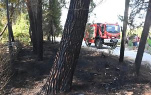 Εμπρησμοί, Μάκρη, Παραδόθηκε, 50χρονης, ebrismoi, makri, paradothike, 50chronis