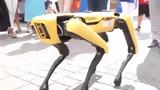 88η ΔΕΘ, Ρομπότ,88i deth, robot