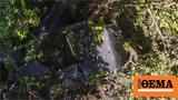 Συνετρίβη, Ελ Σαλβαδόρ,synetrivi, el salvador