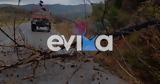 Atena, Εύβοια,Atena, evvoia