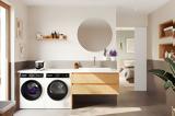 BSH Home Appliances Group, 100,IFA