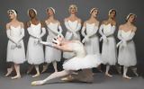 Les Ballets Trockadero De Monte Carlo, Παλλάς,Les Ballets Trockadero De Monte Carlo, pallas