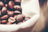 Χρυσός, -Σε, Arabica,chrysos, -se, Arabica