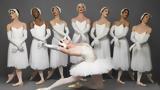 Les Ballets Trockadero De Monte Carlo, Παλλάς,Les Ballets Trockadero De Monte Carlo, pallas