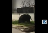 Θεσσαλονίκη, Αγριογούρουνο, Πανόραμα,thessaloniki, agriogourouno, panorama